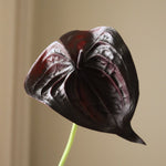 img-2|f584528d