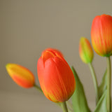 img-2|bfd7b045