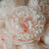 img-2|5b31dd7c