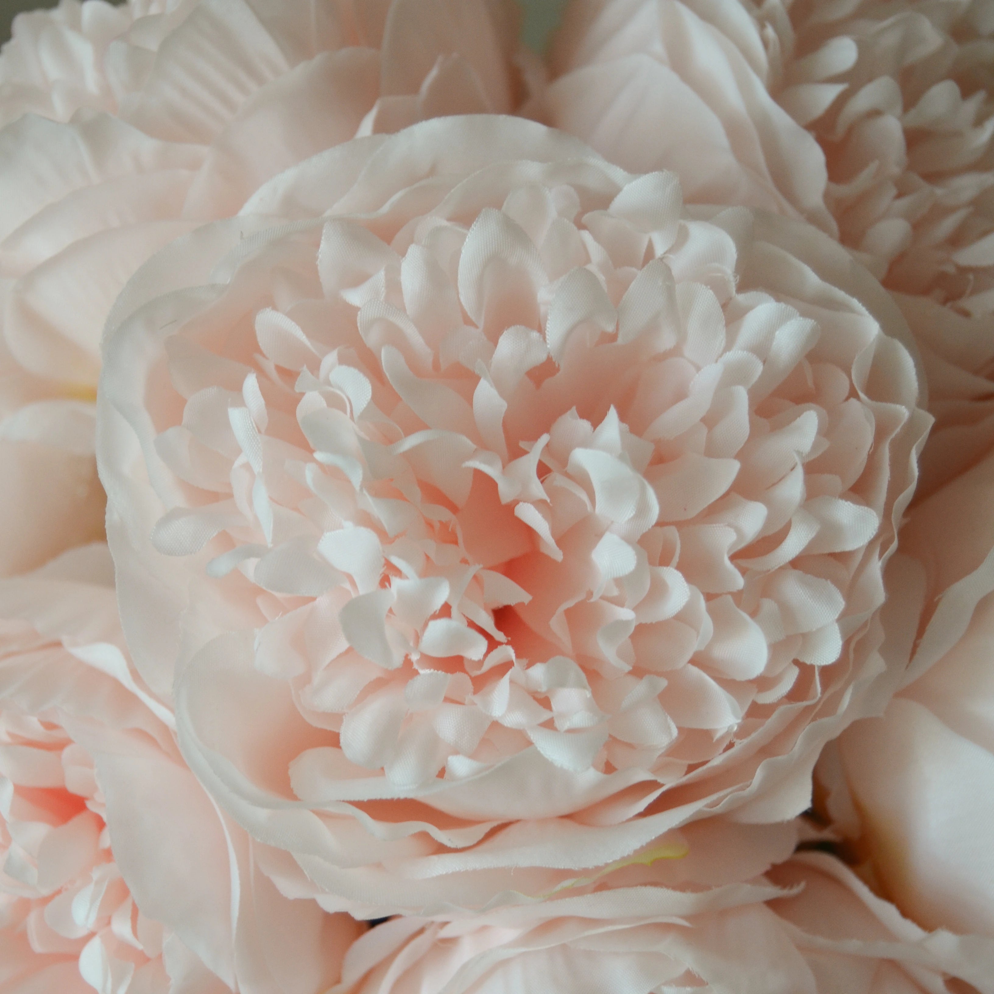 img-2|5b31dd7c