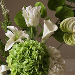 img-2|f447c812