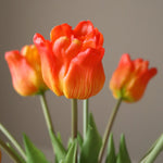 img-2|429a64ed