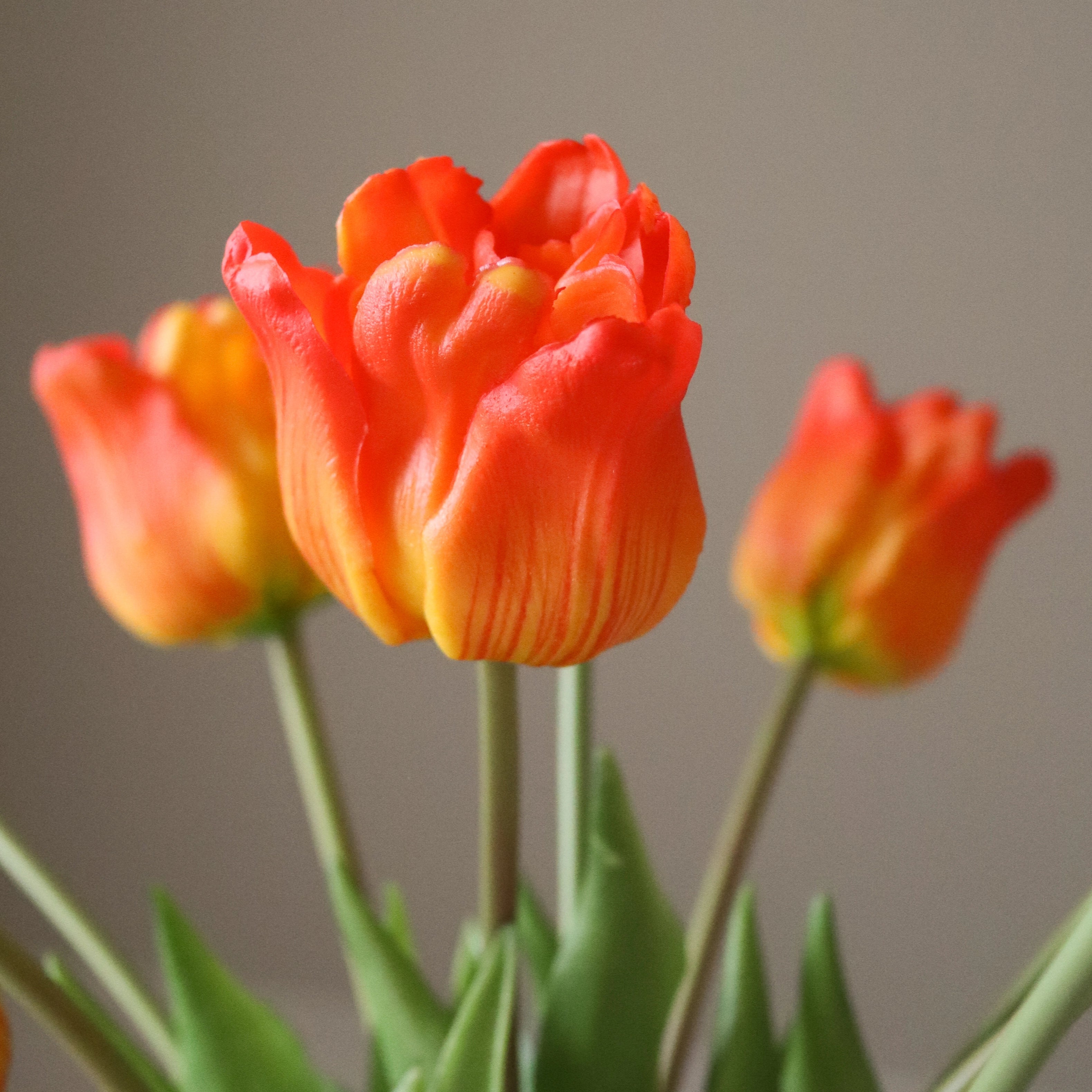 img-2|429a64ed