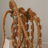 img-2|65897cfc
