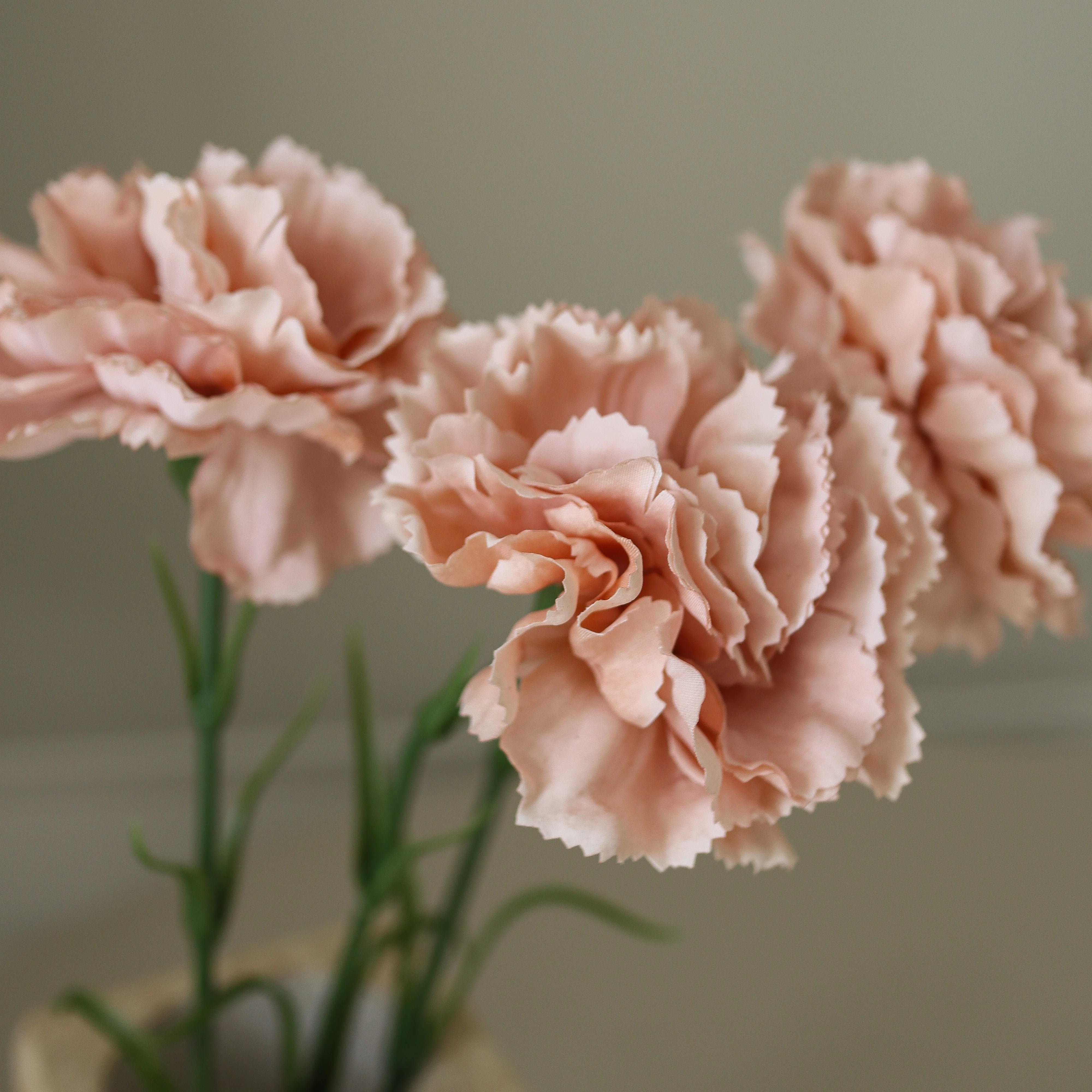 img-2|8fc57cdd