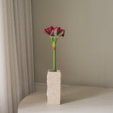 img-1|841d5e30