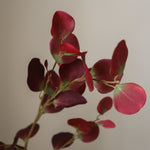 img-2|a5f1e536