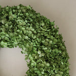 img-2|f61972a9