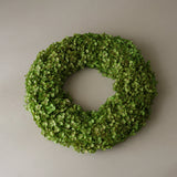 img-3|914d18f5