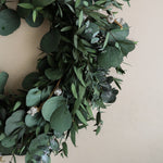 img-2|4b149e6c