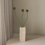 img-3|6e5b1936