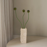 img-3|6e5b1936