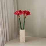 img-3|d4742eec