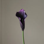 img-2|f51731d5
