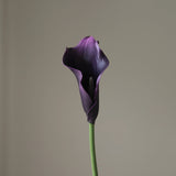 img-2|f51731d5