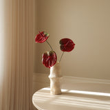 img-3|f3864b49