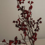 img-2|403930ca
