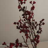 img-2|403930ca