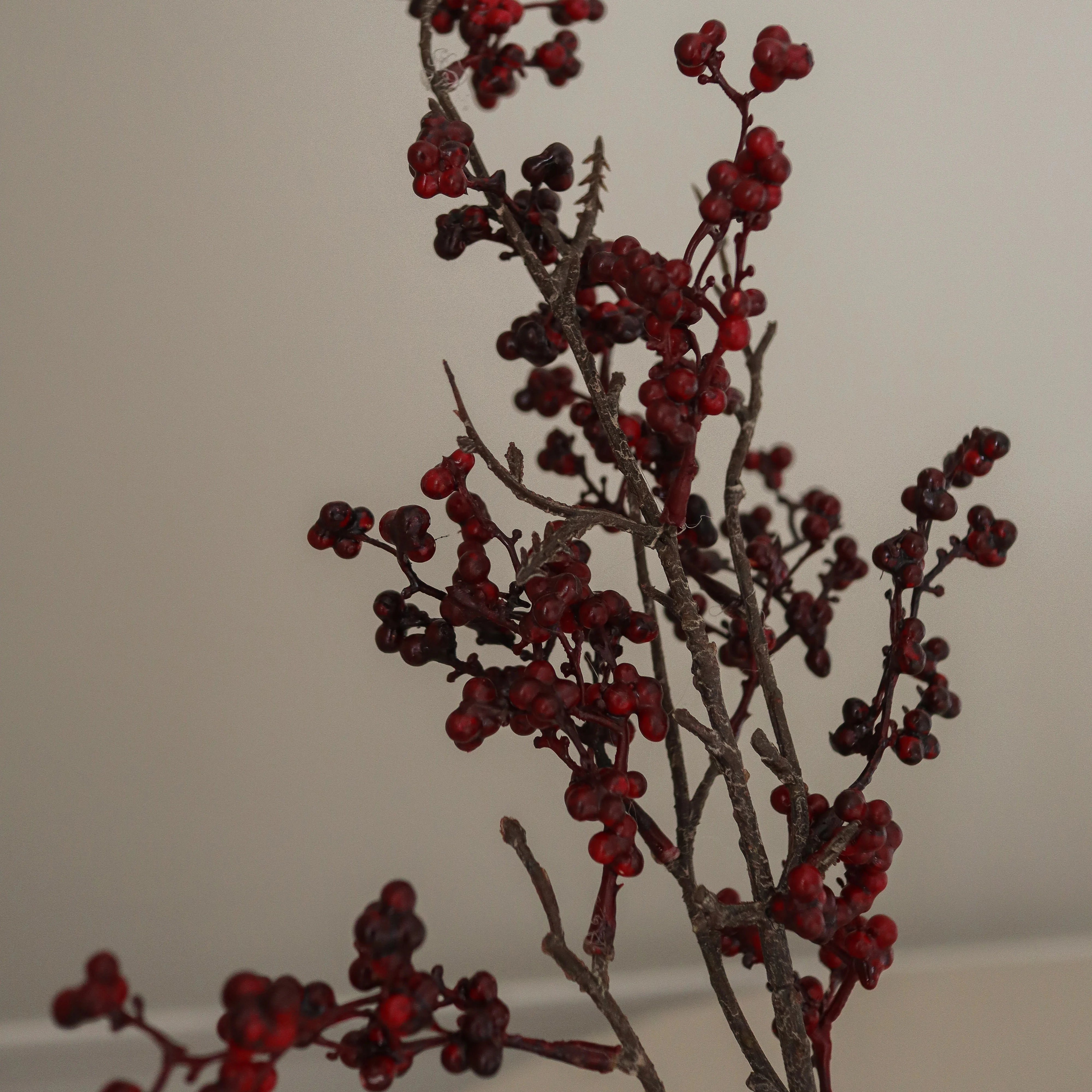 img-2|403930ca