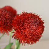 img-2|366c378b