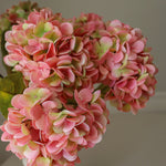 img-3|aa973255