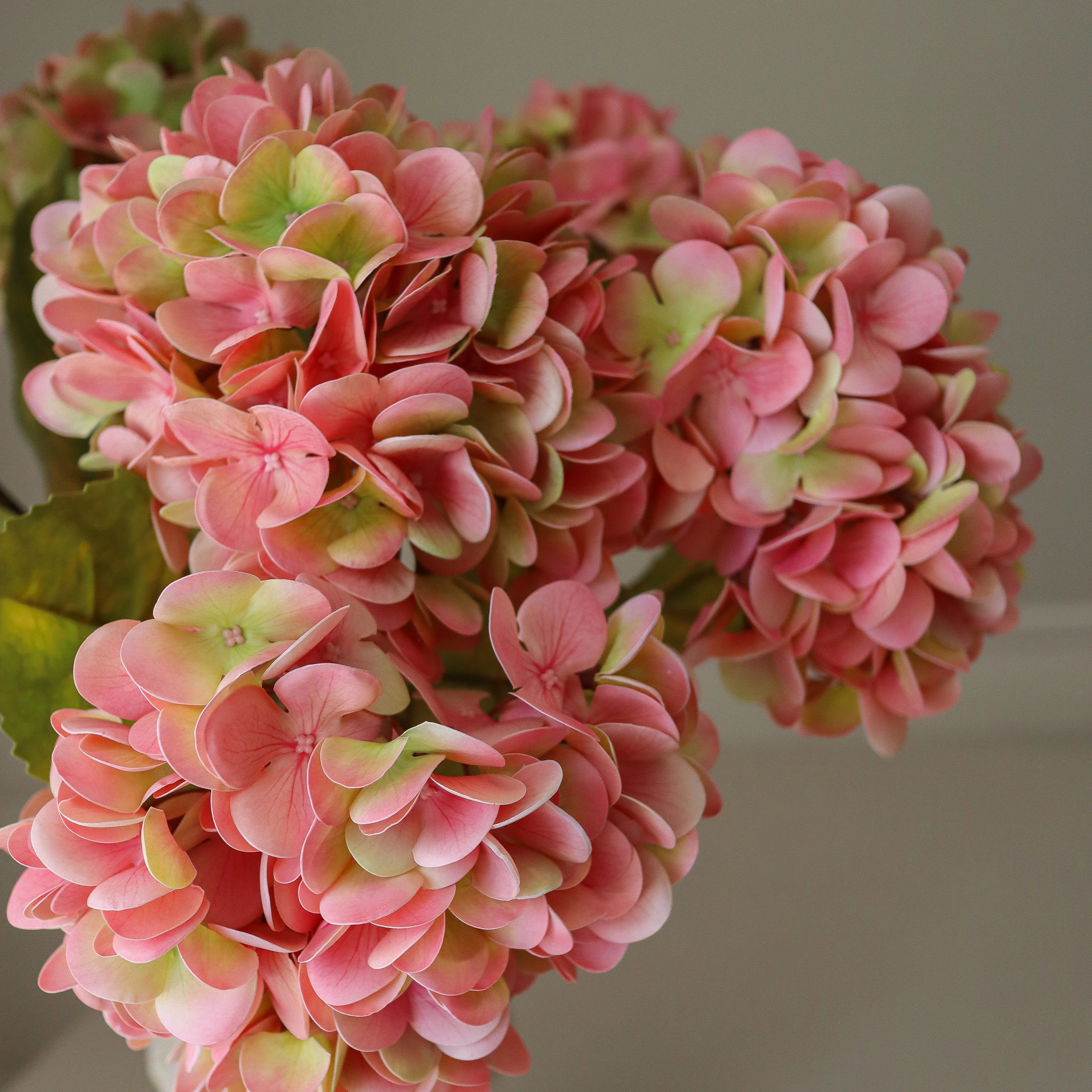 img-3|aa973255
