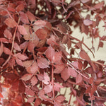 img-3|2bd7287f