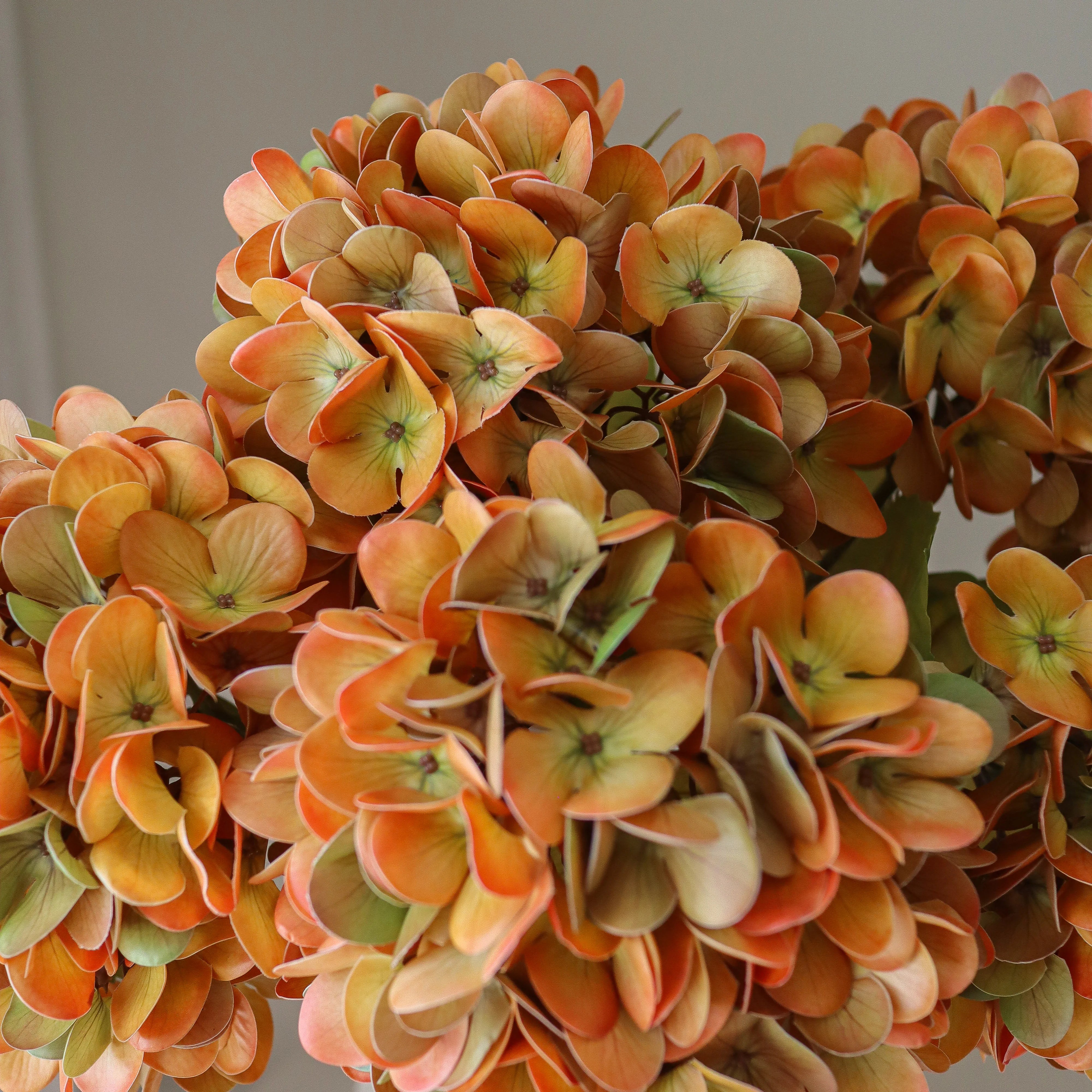 img-3|5a17470a