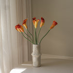 img-3|29817d92