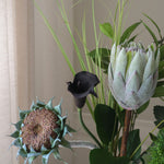img-3|fd12f932