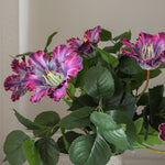 img-3|f607d302
