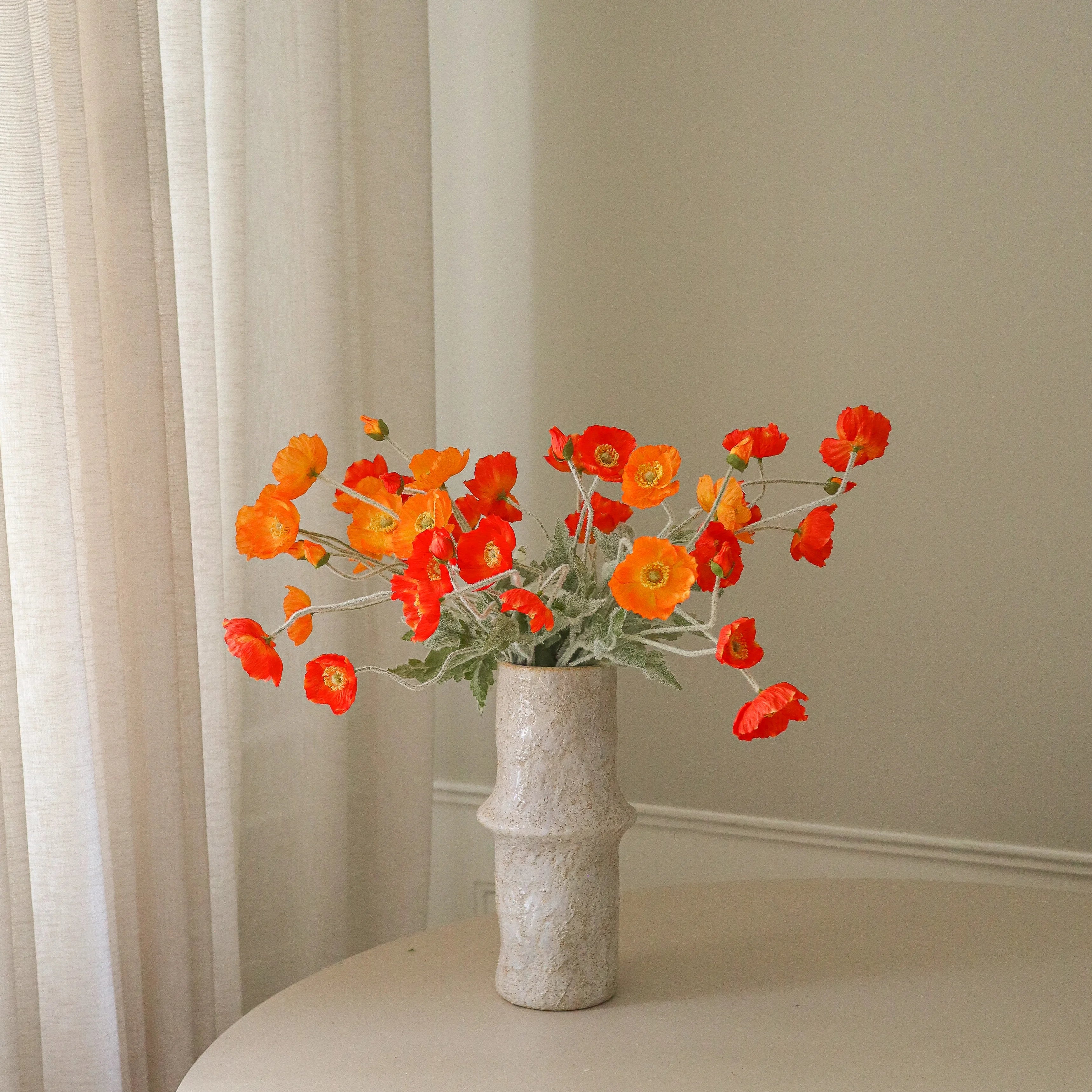 img-2|5051202c