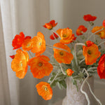 img-3|797269c9