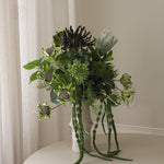 img-2|66c537ac