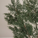 img-2|f26d0148