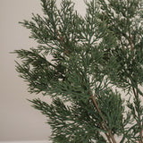 img-2|f26d0148