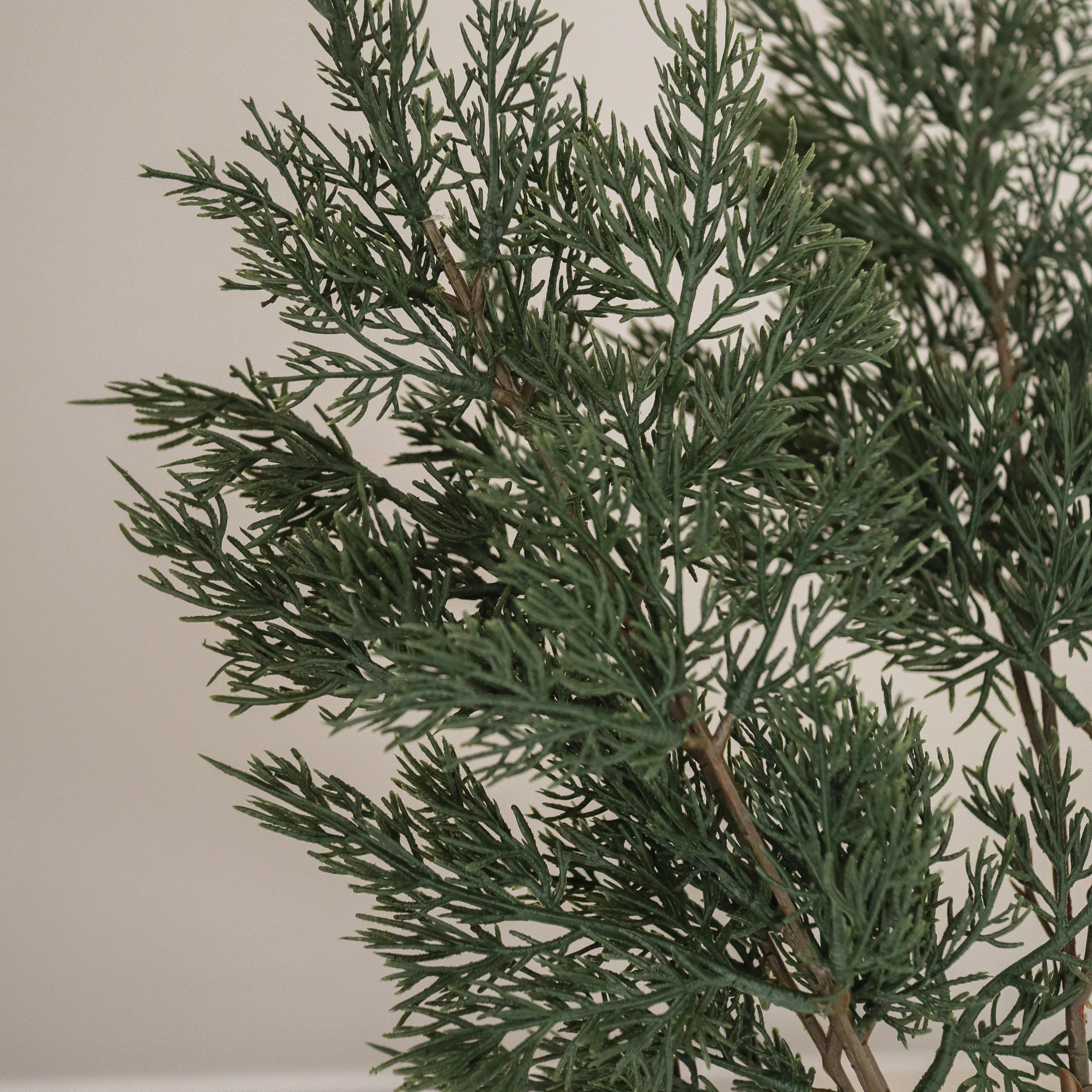 img-2|f26d0148