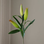 img-2|e34976cc