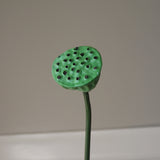 img-2|678fc909
