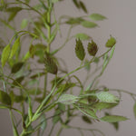 img-2|23e80a3f