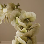 img-2|952b4562