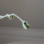 img-2|cb418c7e