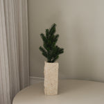 img-1|83f717d6