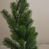 img-2|f2b52432