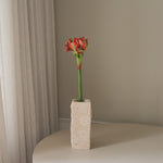 img-1|86c6c9a1