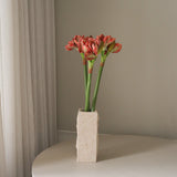 img-3|3f2f1703