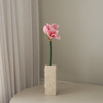 img-1|48f70407