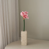 img-1|48f70407