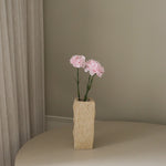 img-3|69fe7c8b