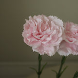img-2|49a4d8c1